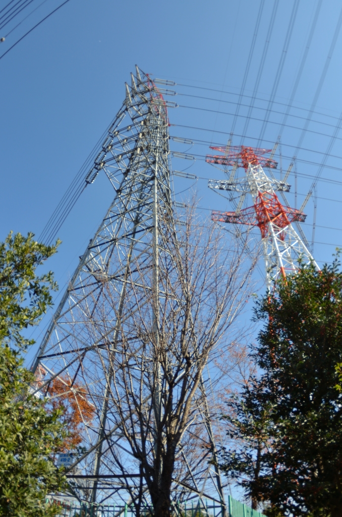 競い合い、空