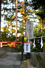 2023-01-22_161300_DSC_4714