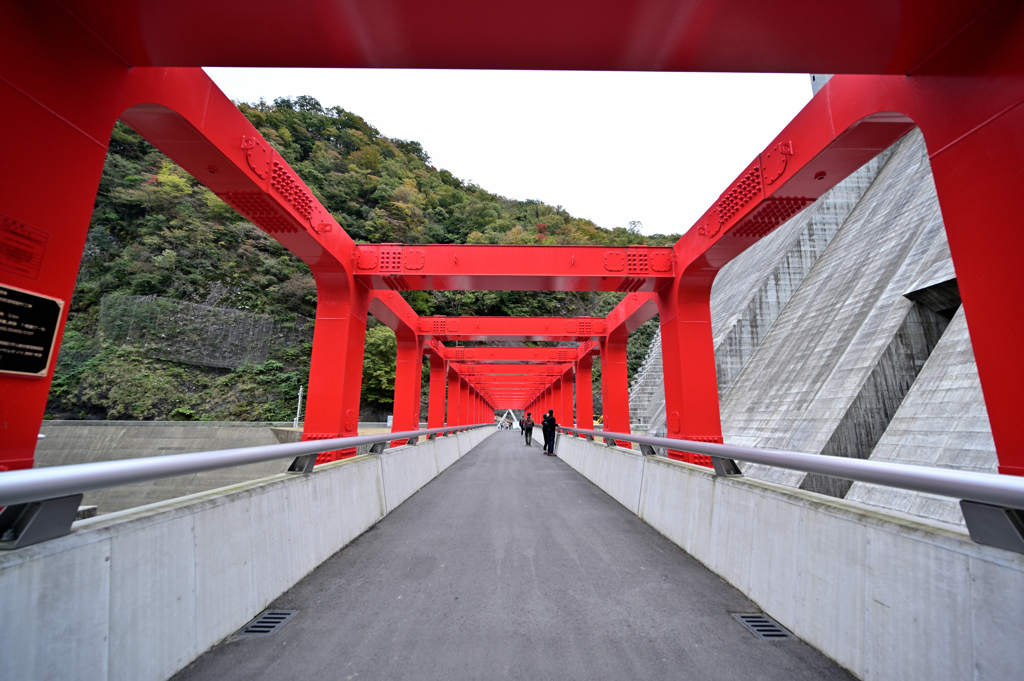 RED GATE