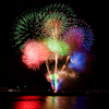 月並みながらの百花繚乱