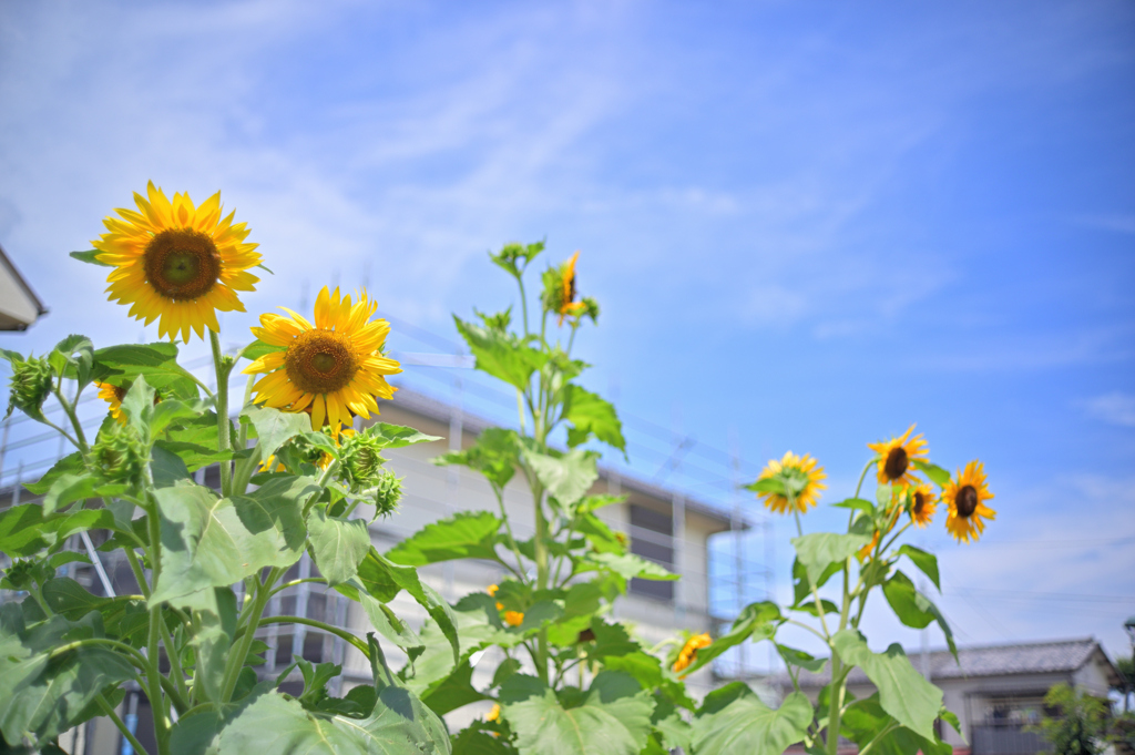 2022-07-09_104930_DSC_6774