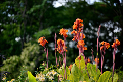 2023-07-02_154353_DSC_7621