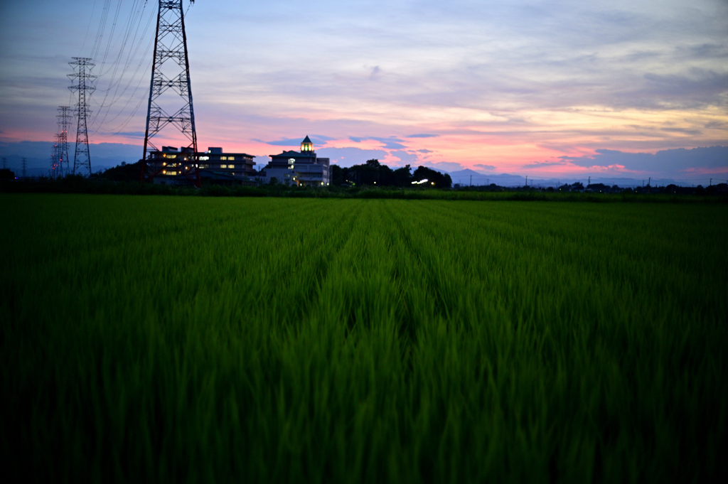 2022-07-24_191456_DSC_9214