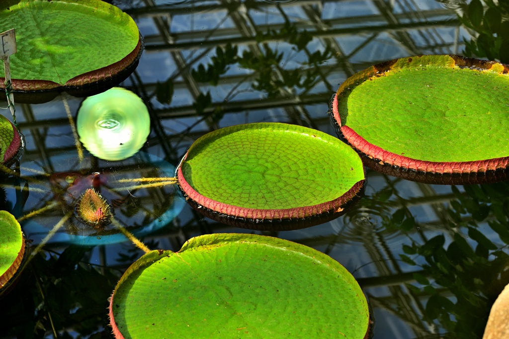 2024-05-18_144010_DSC_7457