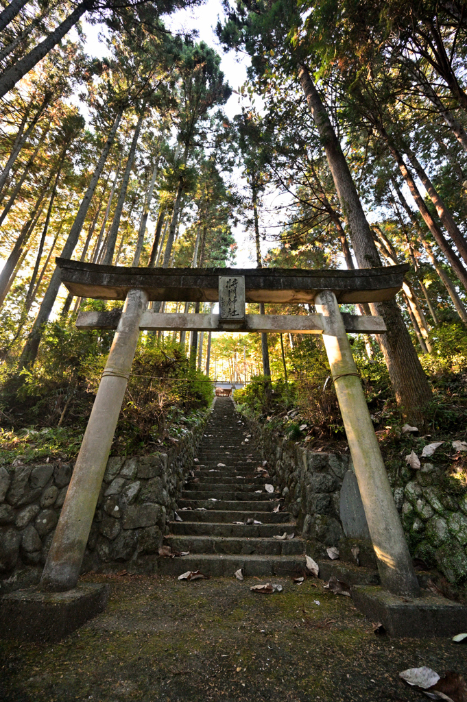 2023-11-14_150947_DSC_8486