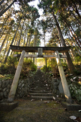 2023-11-14_150947_DSC_8486