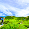 入山