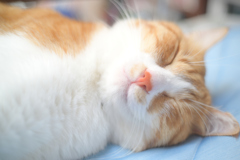 2023-06-08_091122_DSC_6871