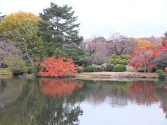 DSCF4544