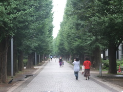 最高学府の