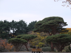 DSCF4530