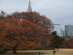 DSCF4515