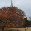 DSCF4515