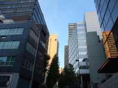ビル群の朝