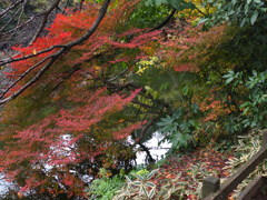 DSCF4483