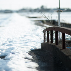 雪の田んぼ道