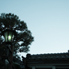 日本の空