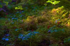 IMG_3233