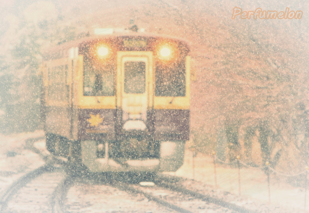 春に降る雪