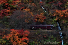 Autumn colors