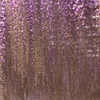 花暖簾