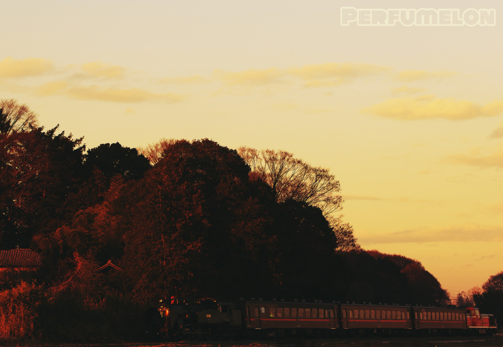 A train towards the sunset