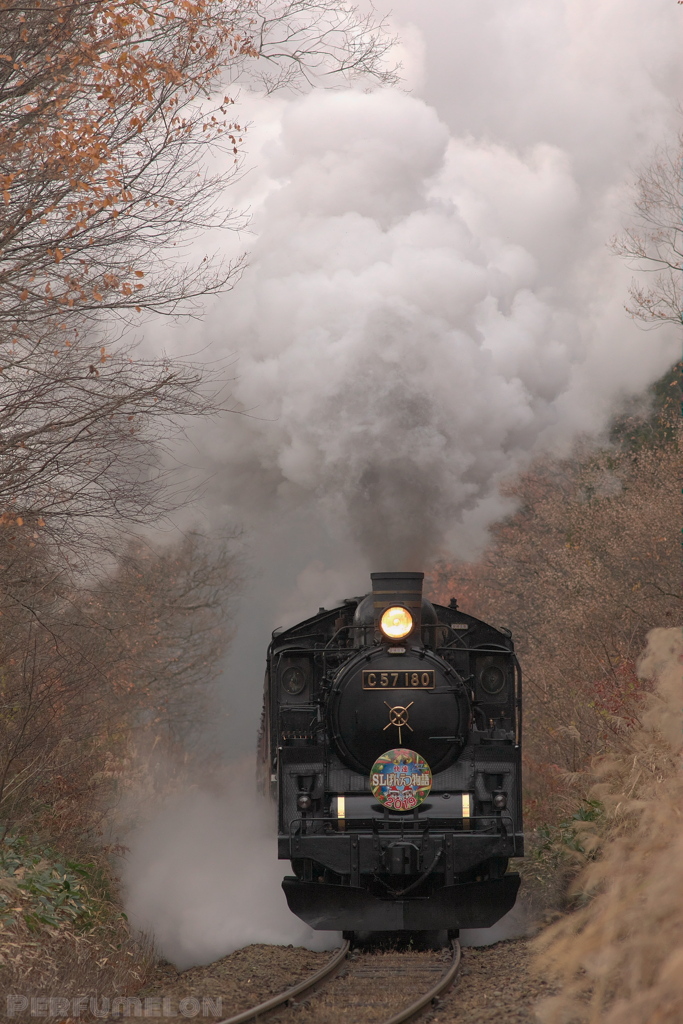 X'mas train③