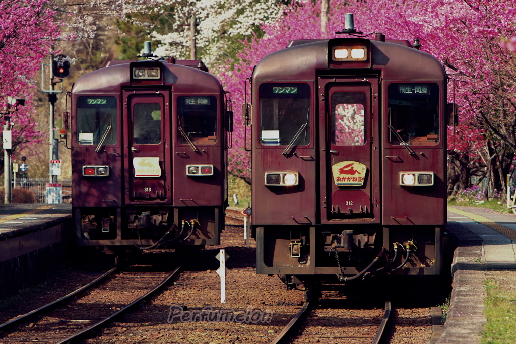 Side by side in harmony