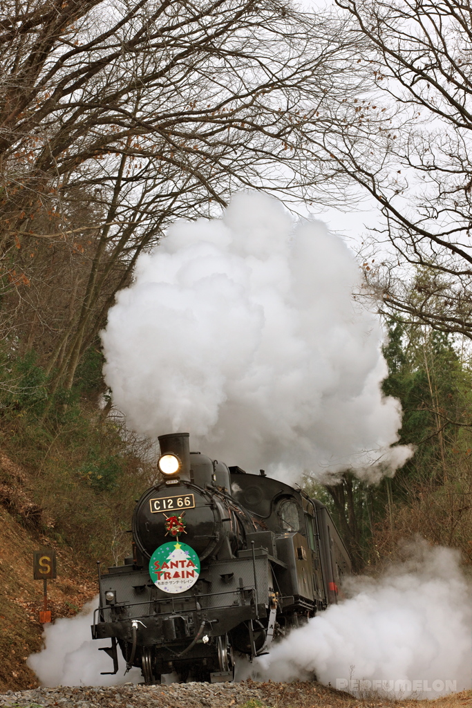 SANTA TRAIN③