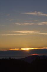 IMG_3313