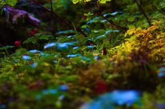 IMG_3232