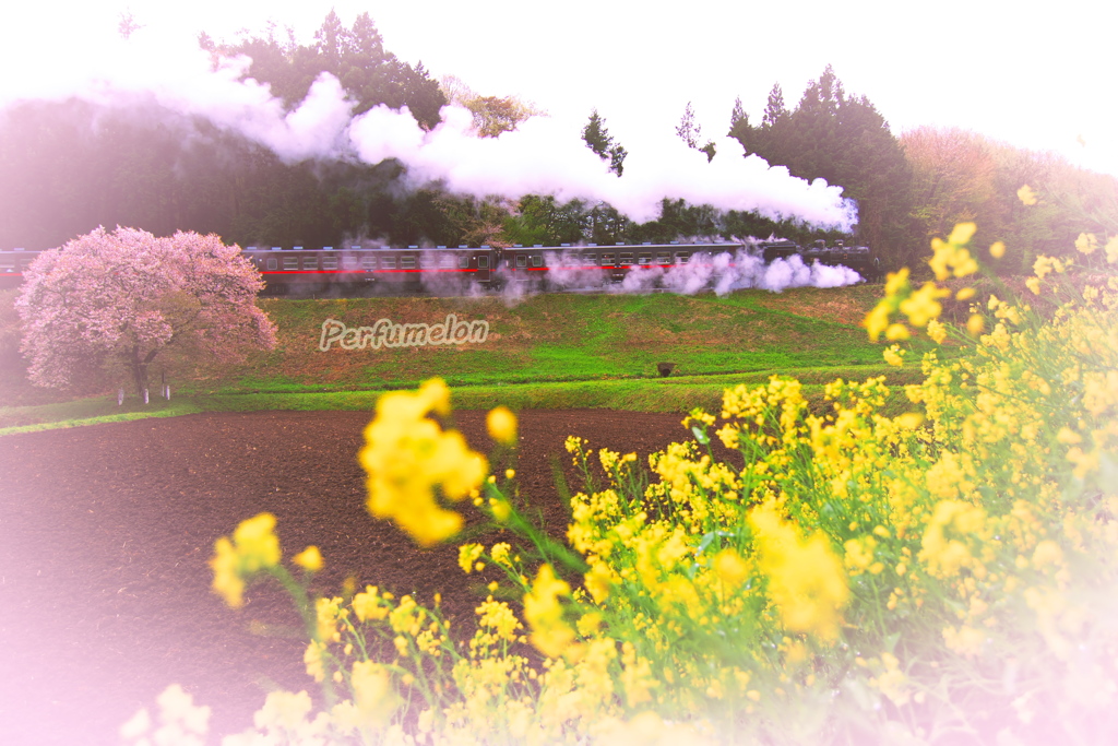 Spring is in the air