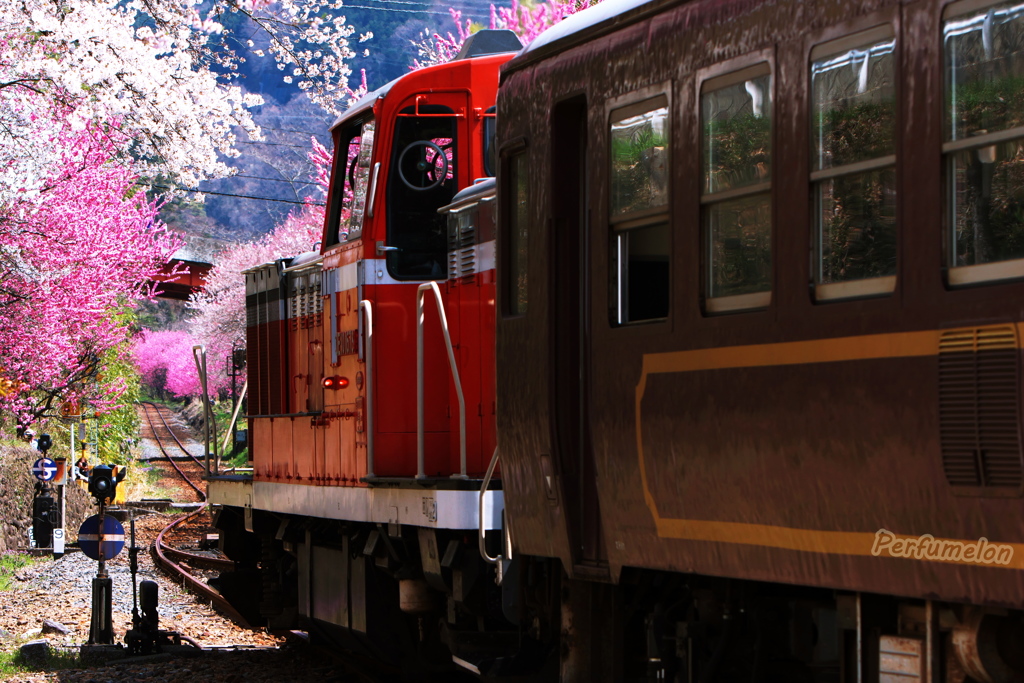 GO! GO! Fine Day