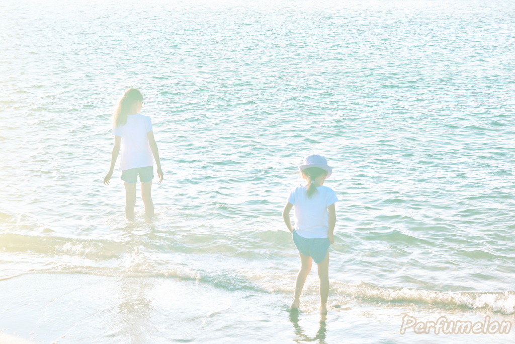 One frame of summer①