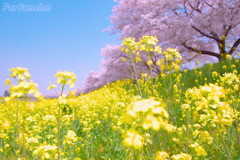 PEACETIME
