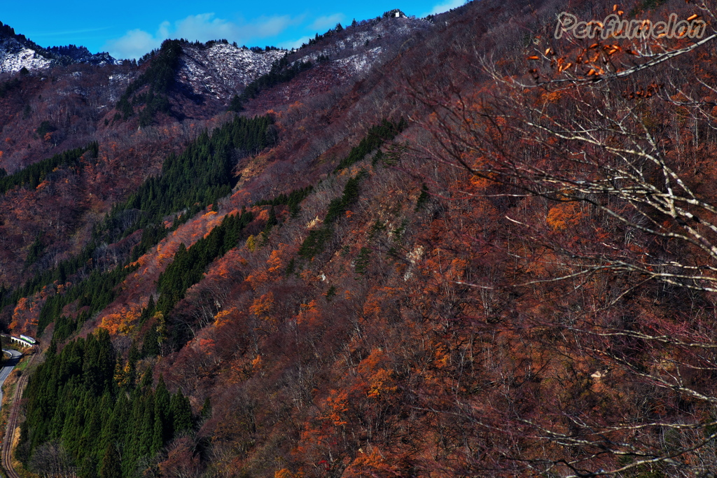 Autumn is close to an end