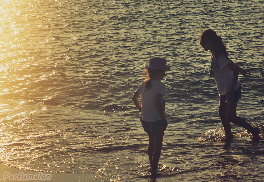 One frame of summer③