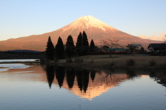 湖畔に映る夕富士