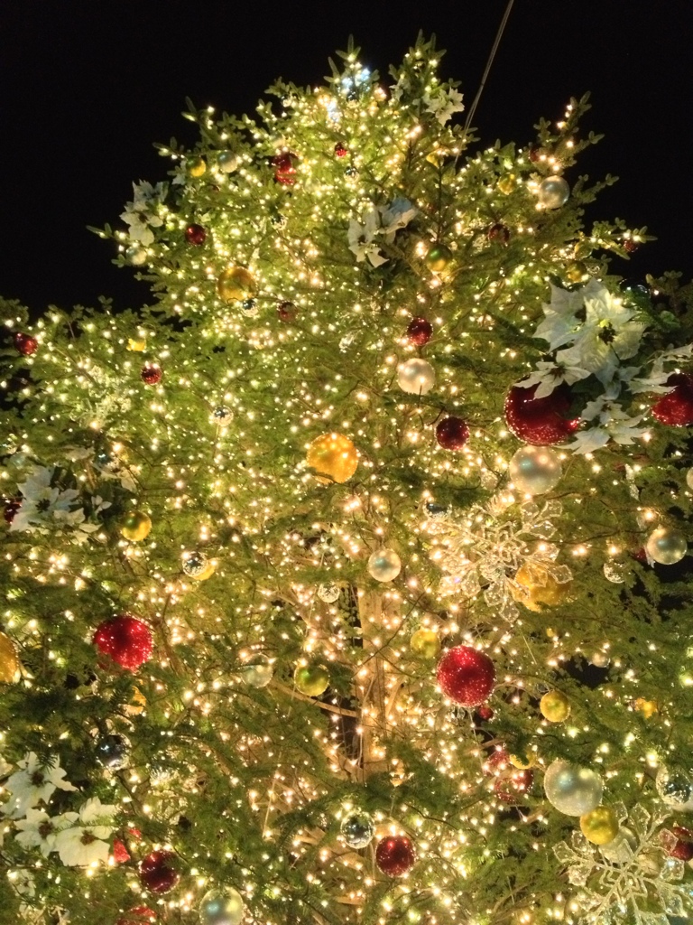 20121122_182213