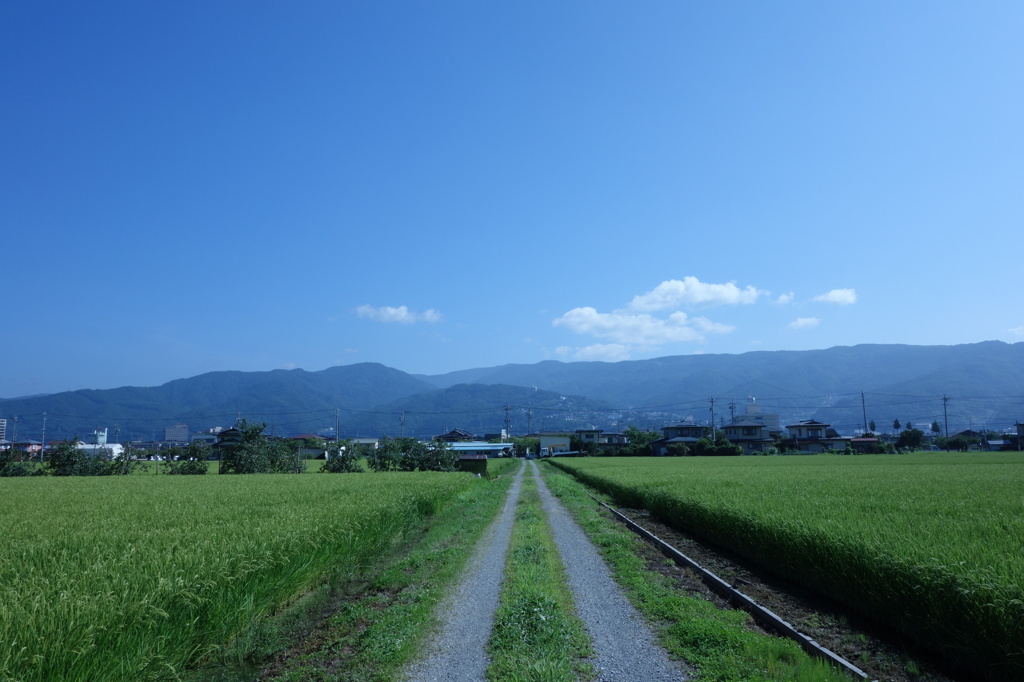 道