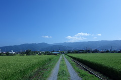 道
