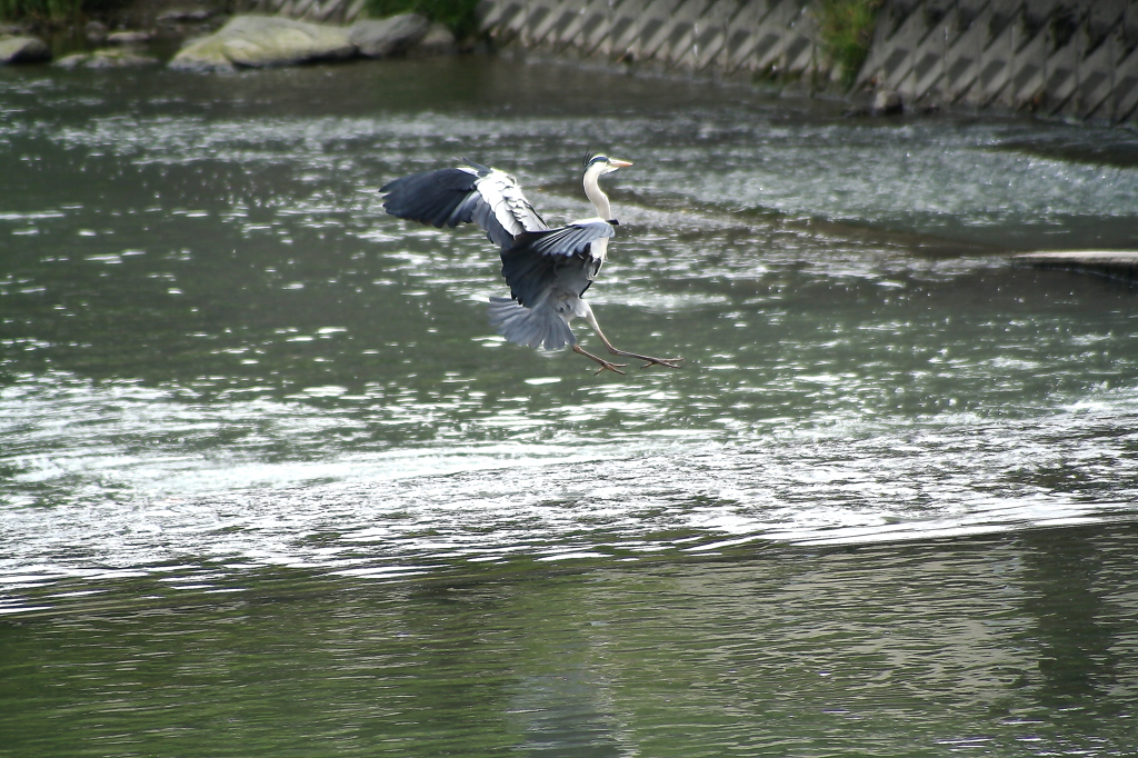 Touchdown