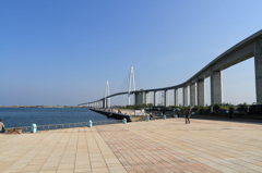 明日に架ける橋