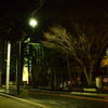 山手の夜