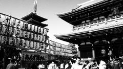 浅草寺　七五三の陣