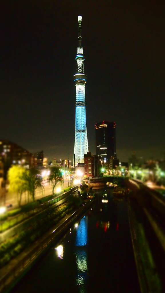 蒼