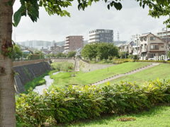 土手と小川