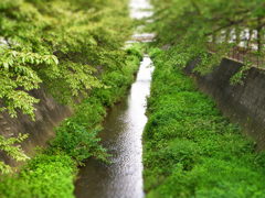 緑と小川