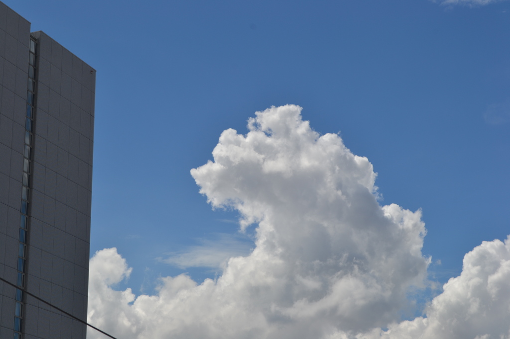 夏の空