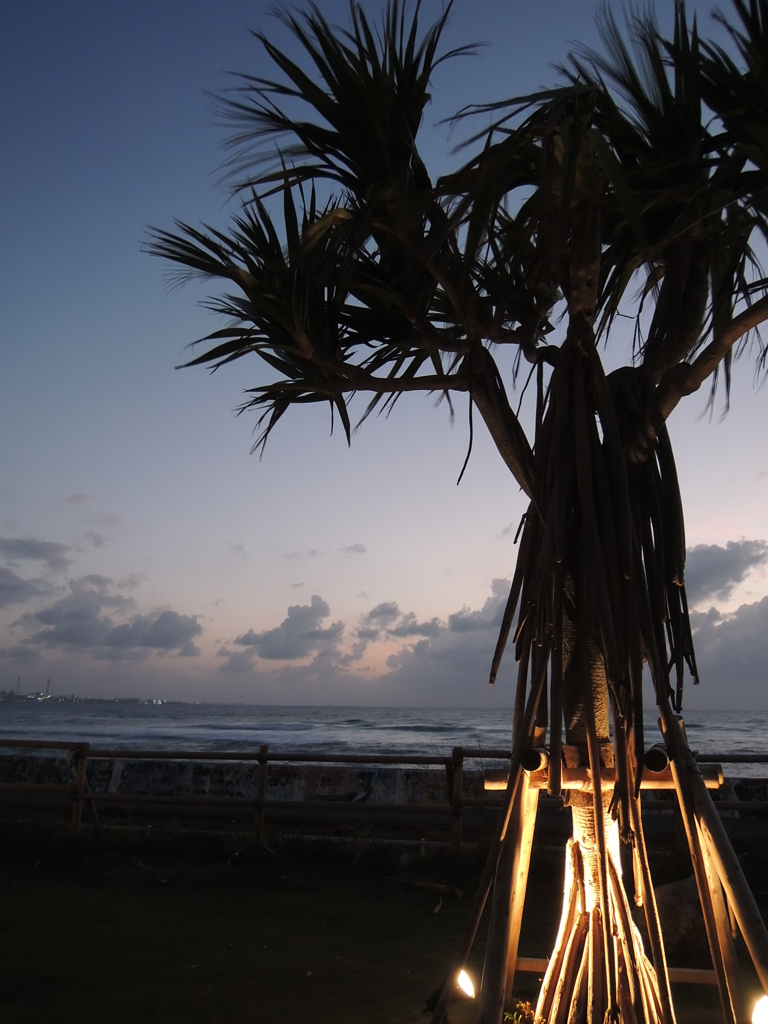 台風16号が去った後